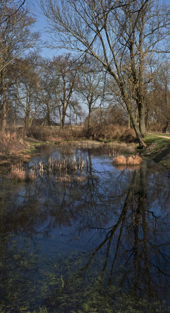 Teich_pano